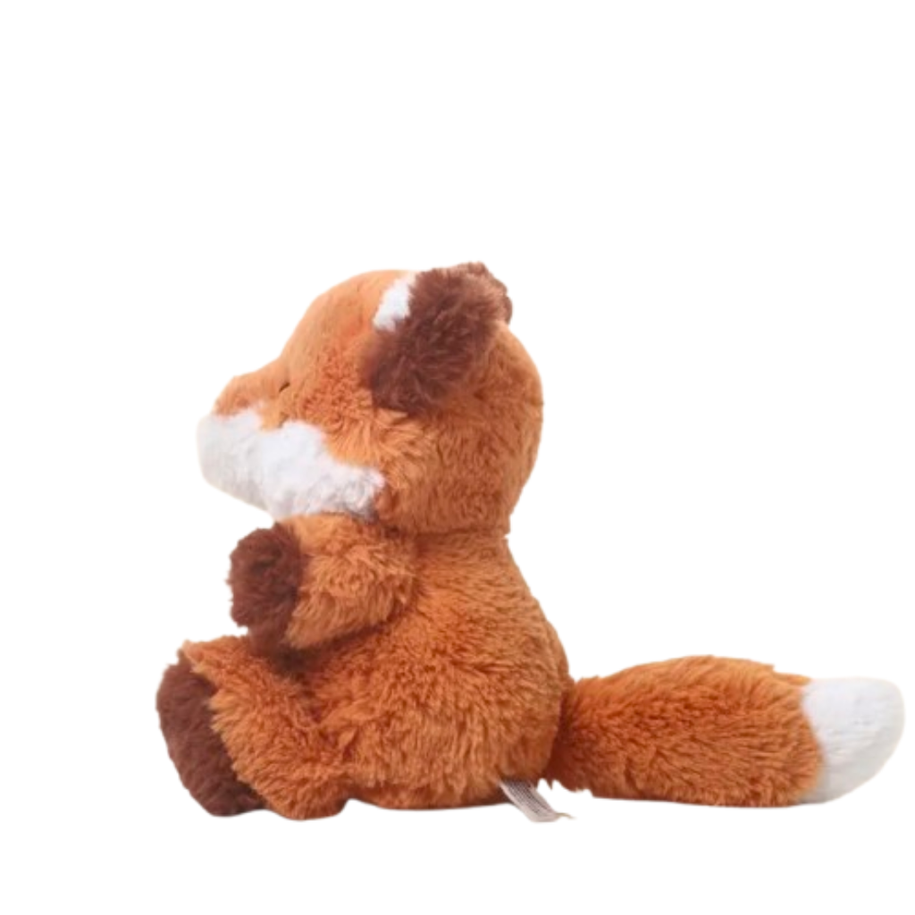 Mr Fox