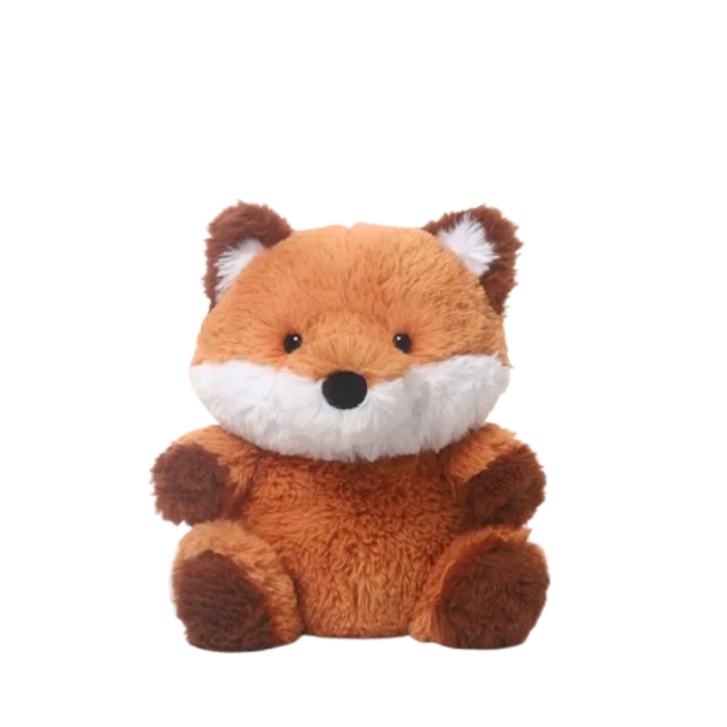 Mr Fox