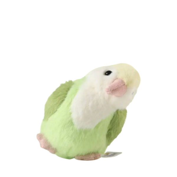 Coco Parrot