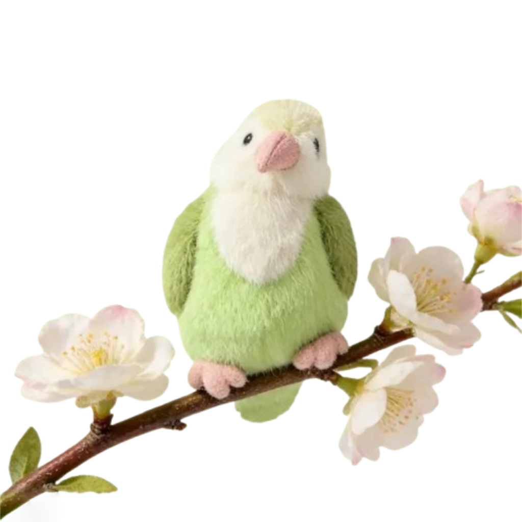 Coco Parrot
